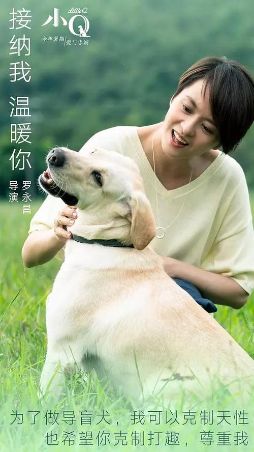 深圳不动产证书